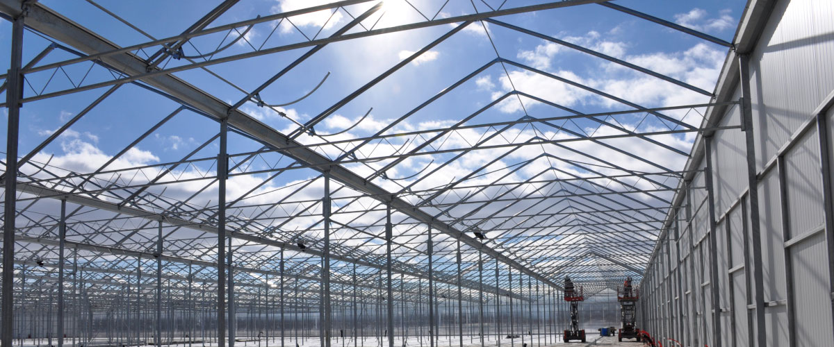 Greenhouse Retrofits: 4 key problems that can be solved by upgrading your existing commercial greenhouse structure